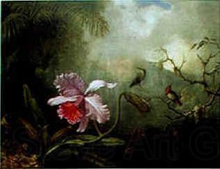 Martin Johnson Heade Cattleya Orchid & Three Brazilian Hummingbirds